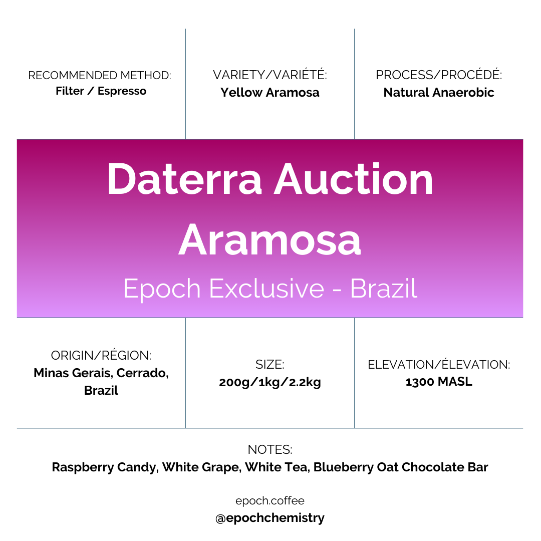 Epoch X - Daterra Auction Yellow Aramosa (Brazil)