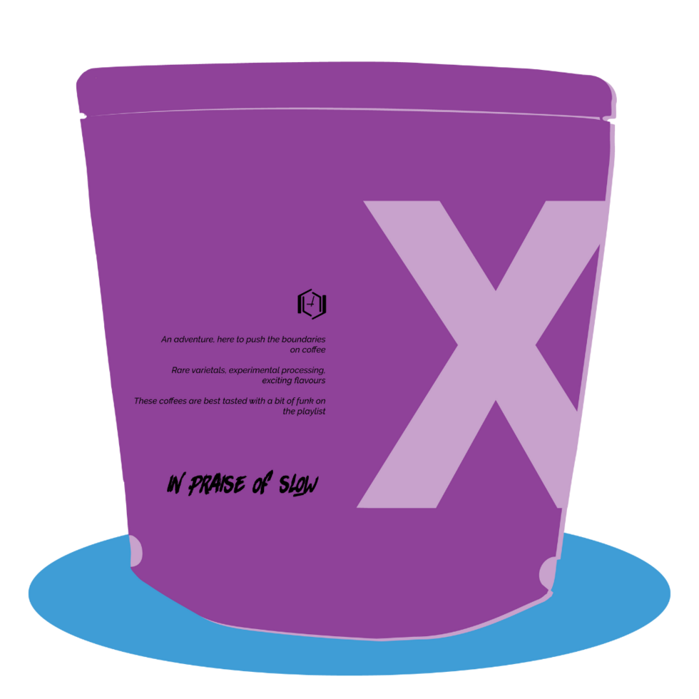 Epoch X - Best of Tolima Auction 2024 #7