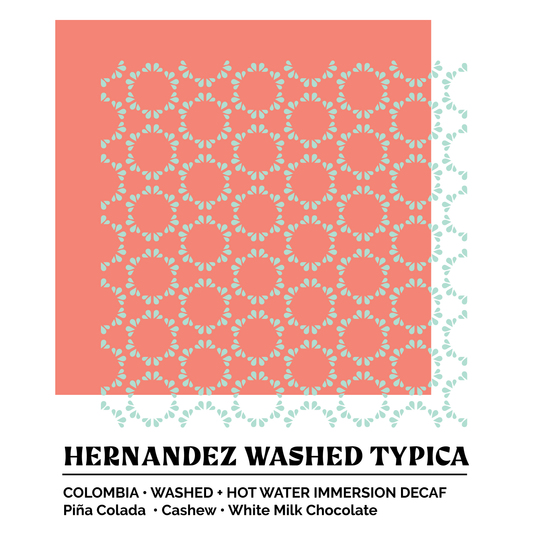 Epoch 12: Hernandez Washed Typica