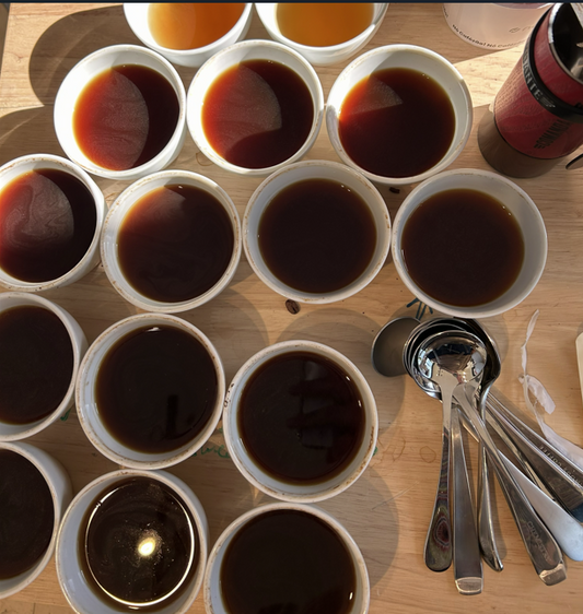Omakase Tasting Experience