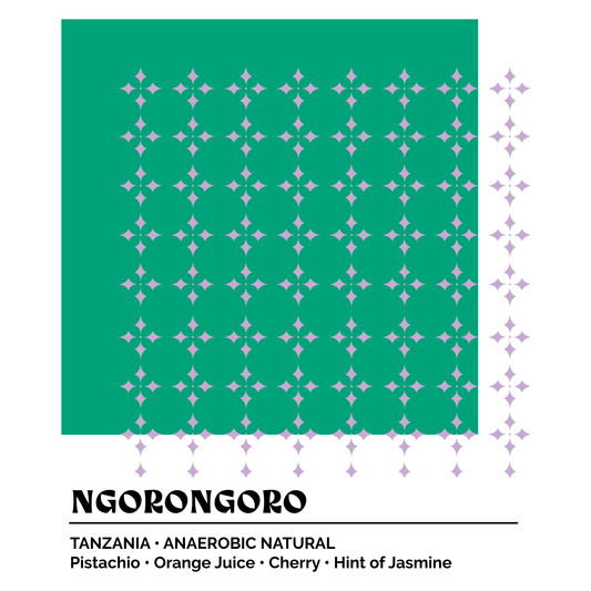 Epoch 9 - Ngorongoro