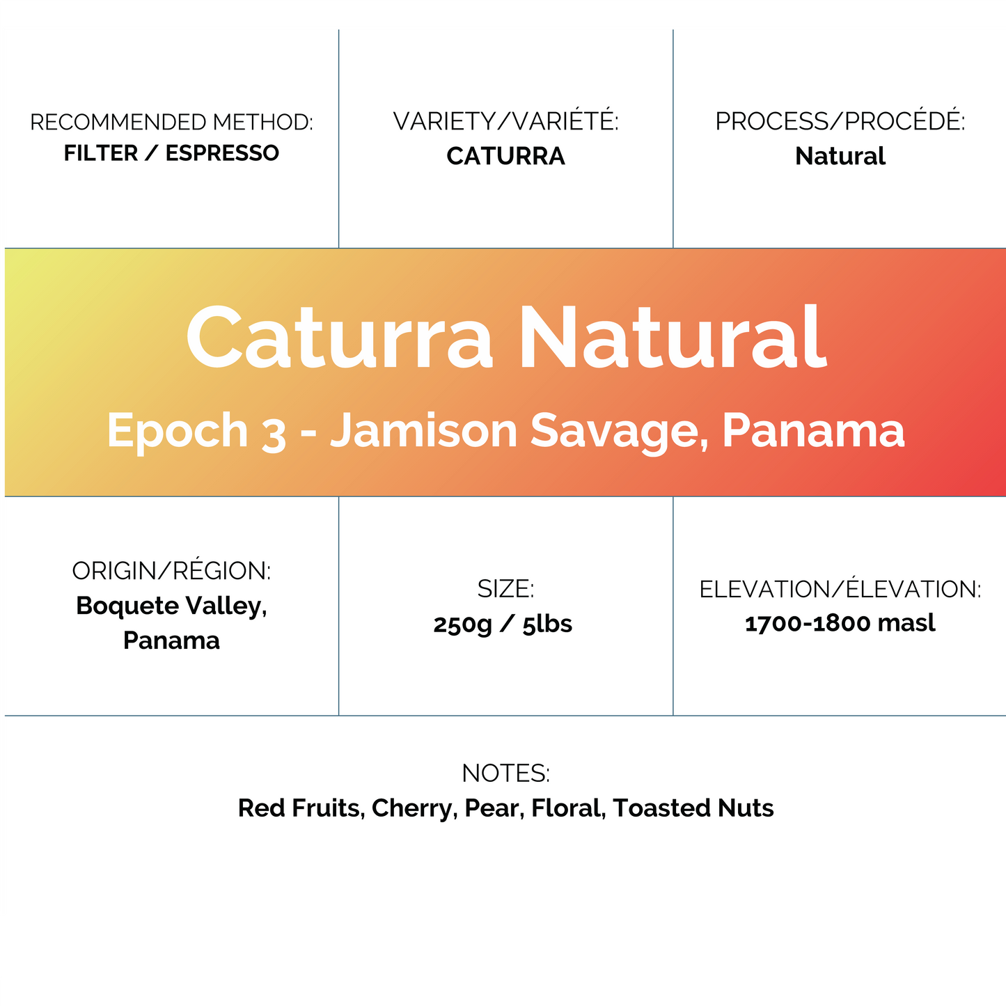 Epoch 3- Jamison Savage - Caturra Natural