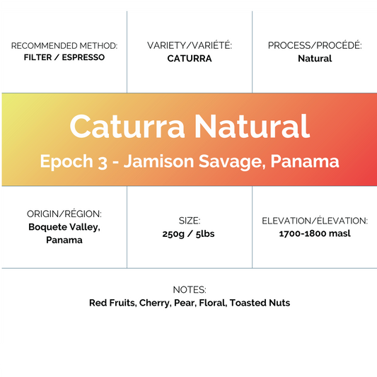 Epoch 3- Jamison Savage - Caturra Natural