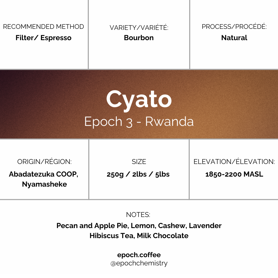 Epoch 3 - Cyato