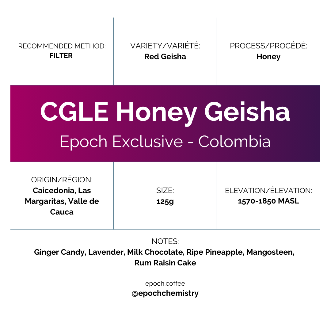 Epoch X - CGLE Honey Geisha (90+)