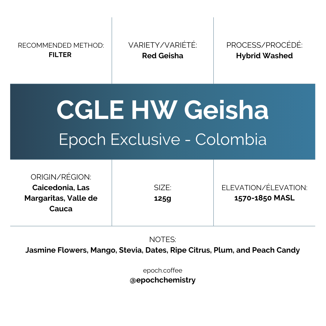 Epoch X - CGLE Honey Washed Geisha (91.5)