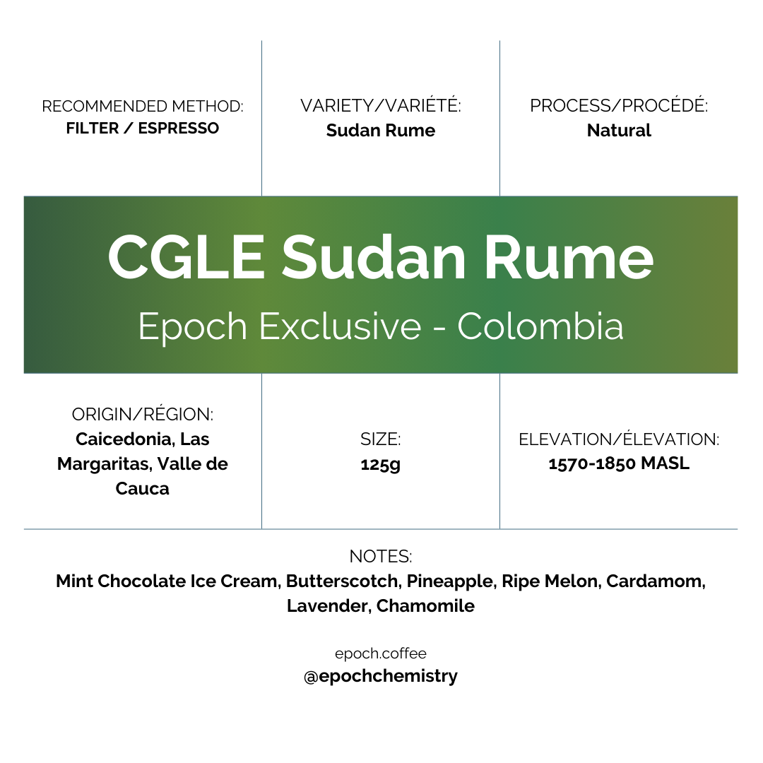 Epoch X - CGLE Sudan Rume