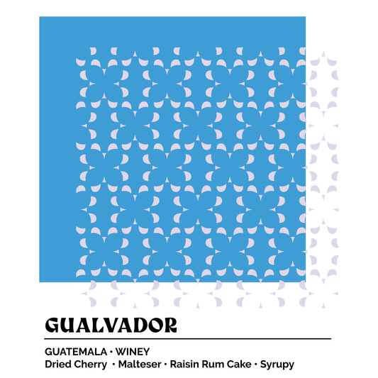 Epoch 3 - Gualvador