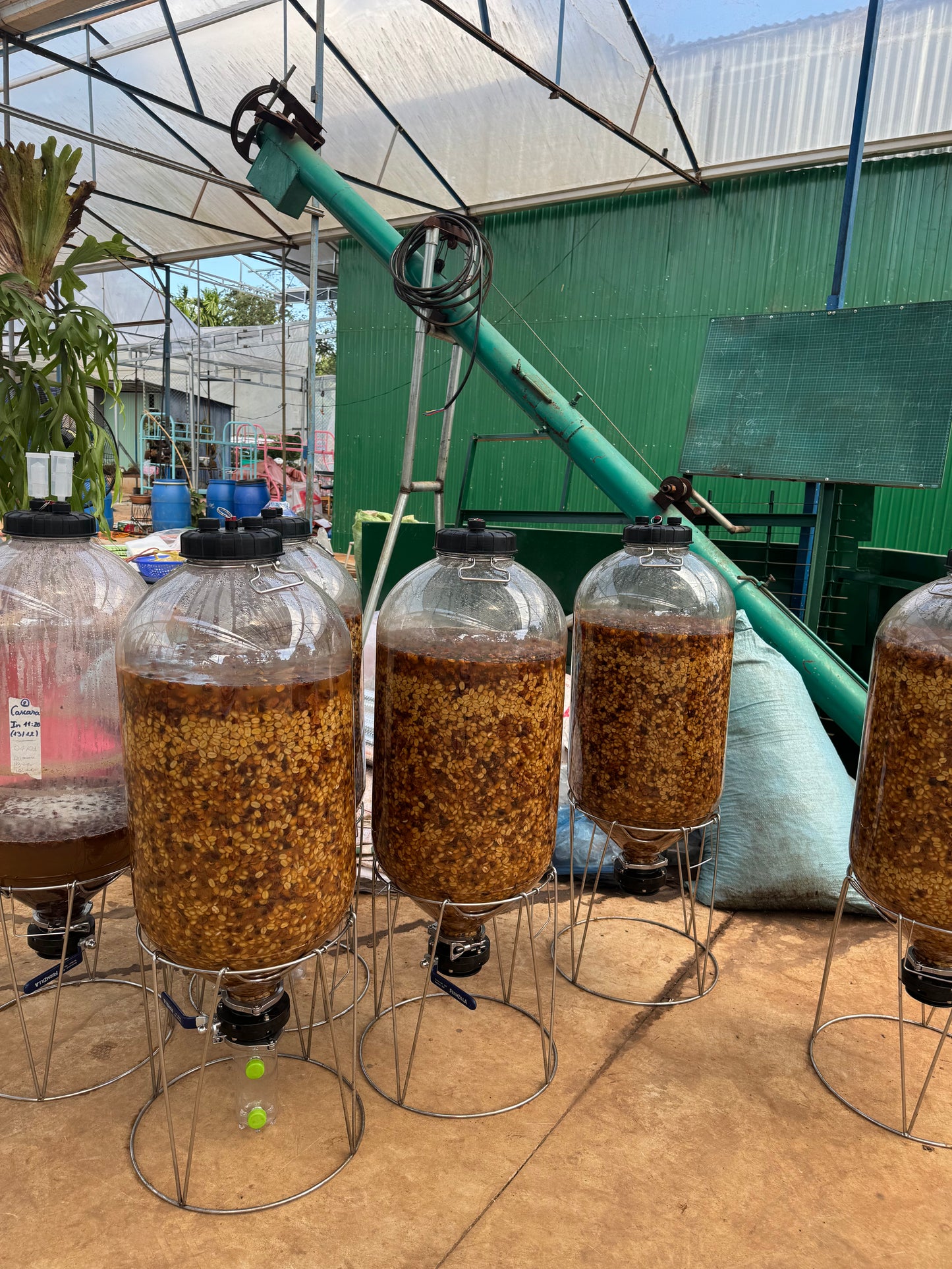 Epoch X - Soul Natural