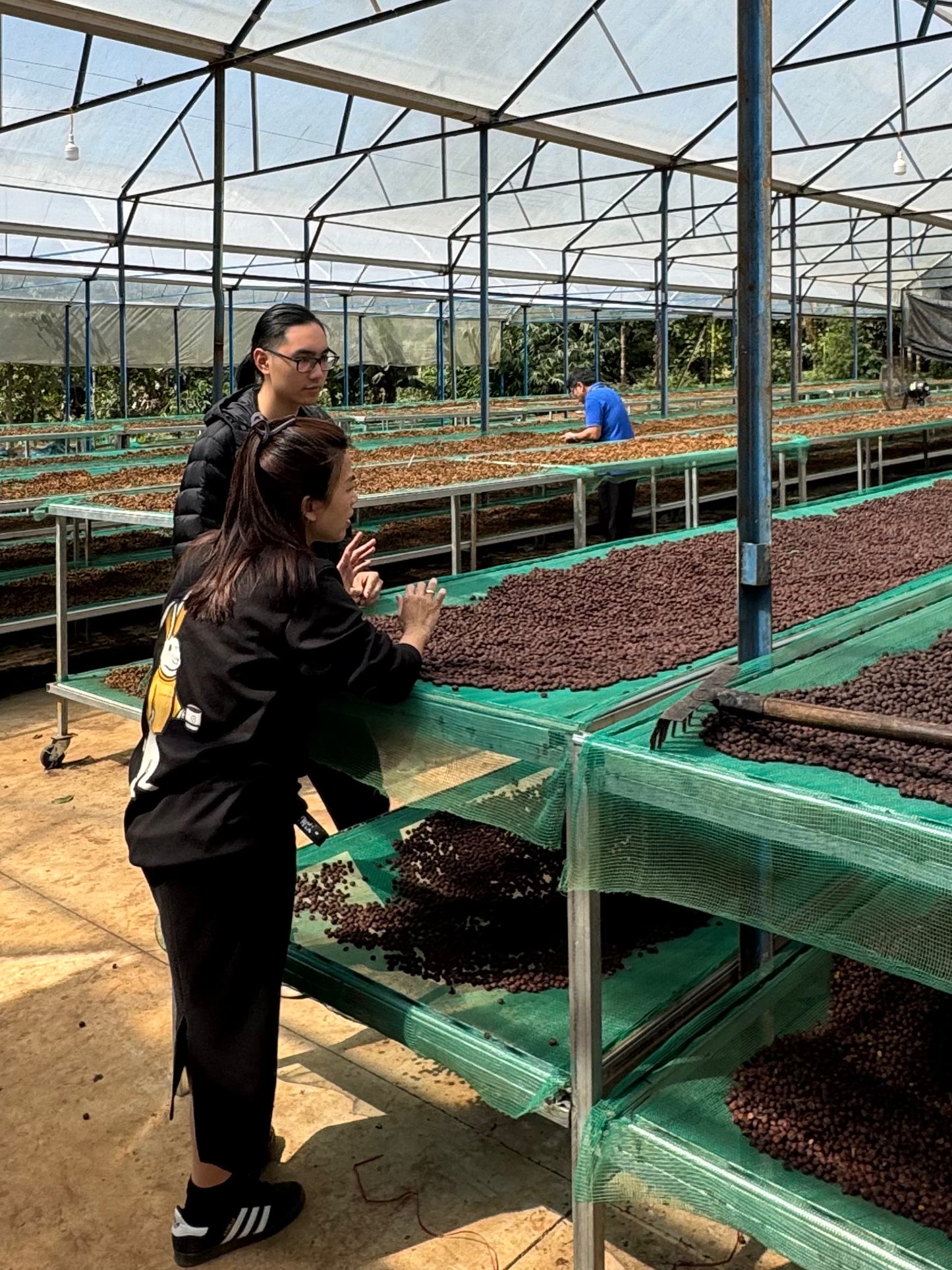 Epoch X - Soul Honey