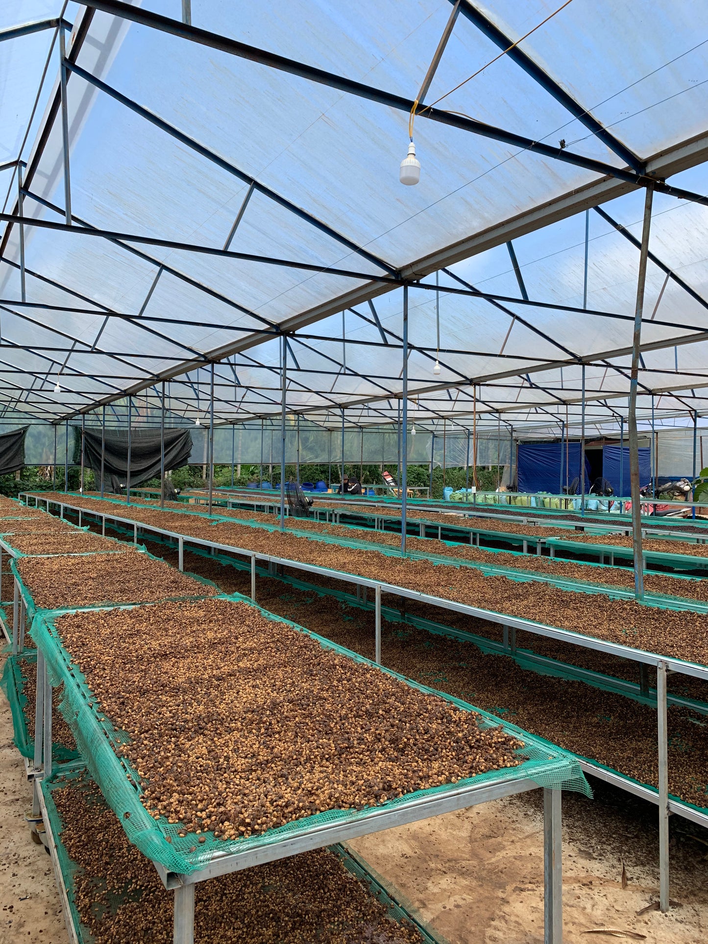 Epoch X - Soul Honey