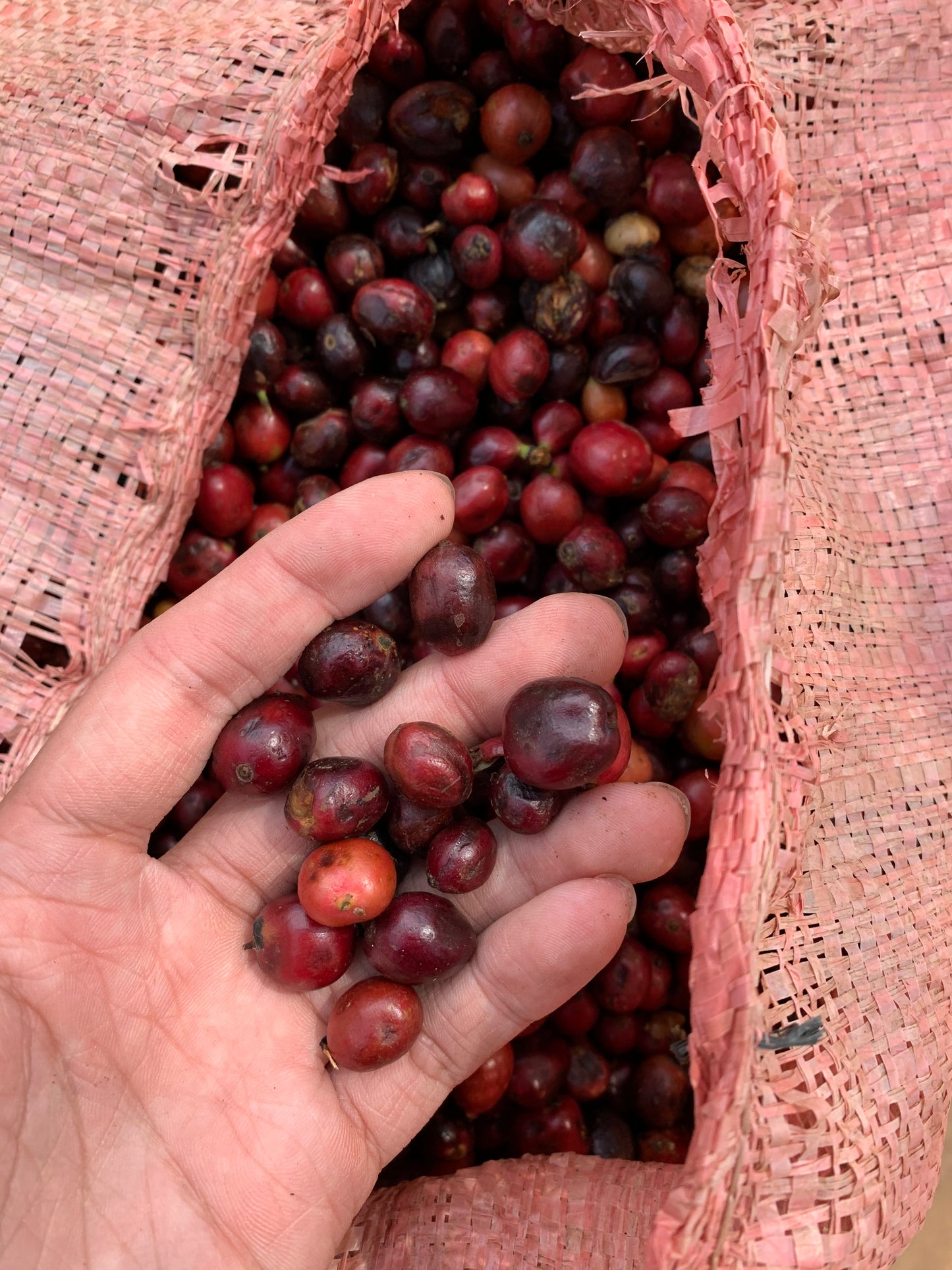 Epoch X - Soul Natural