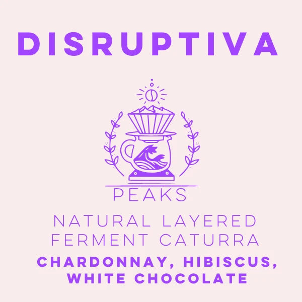 LULO - Disruptiva Natural Layered Ferment Caturra - Peaks Series