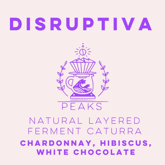 LULO - Disruptiva Natural Layered Ferment Caturra - Peaks Series