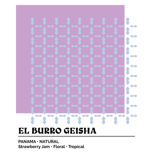 Epoch X - Lamastus El Burro Natural Geisha Lot #15
