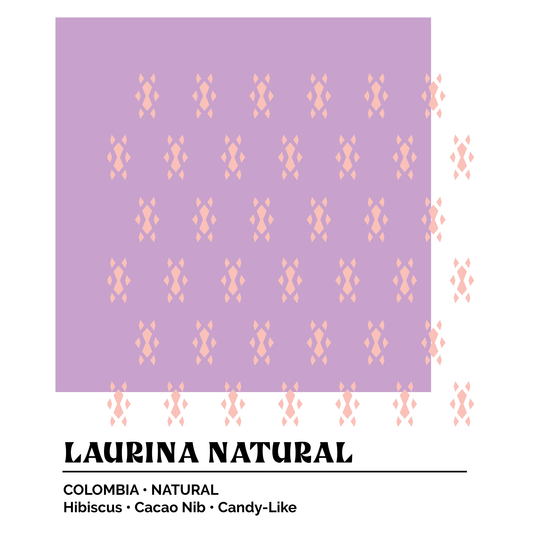 Epoch X - Laurina Natural CGLE Competition Lot