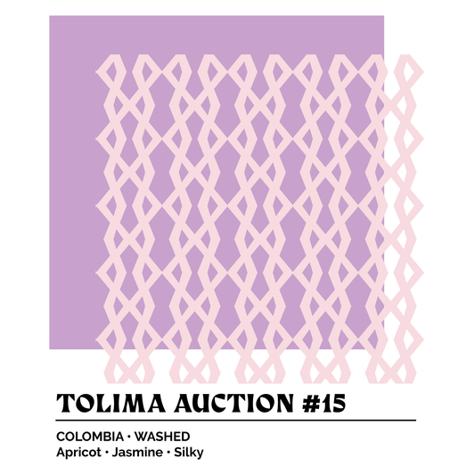 Epoch X - Best of Tolima 2024 #15