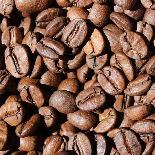 Roasting Workshop