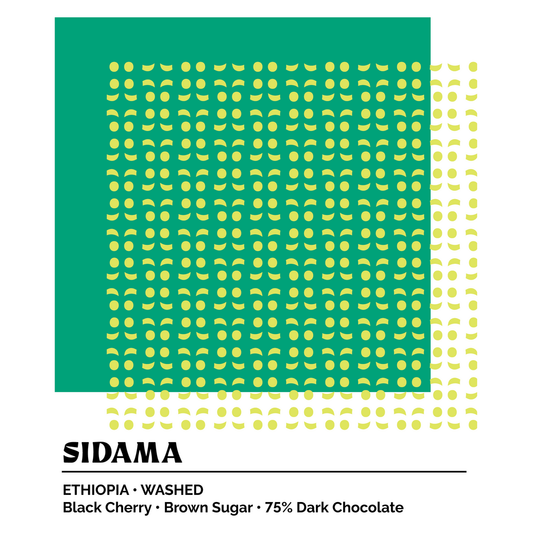Epoch 9 - Sidama